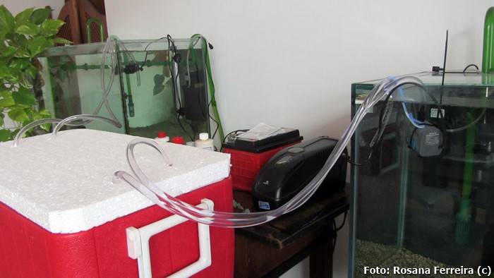 Refrigerador para Aquários