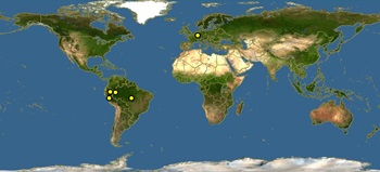 Corydoras pygmaeus-map
