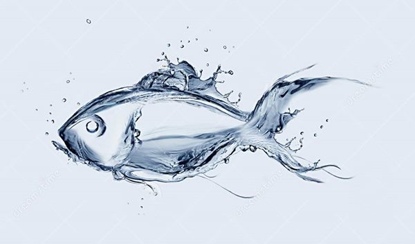 water-fish
