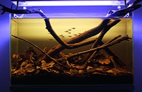 aqua-biotope